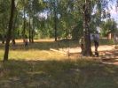 Второй день слёта волонтеров и добровольцев